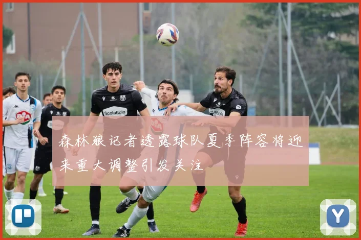 森林狼记者透露球队夏季阵容将迎来重大调整引发关注